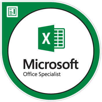 Excel Microsoft
