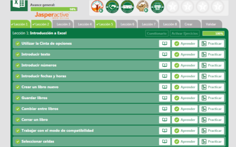 Excel Jasperactive